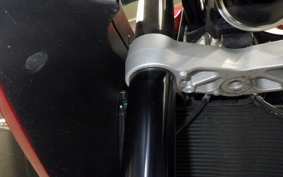 TRIUMPH DAYTONA660 2024