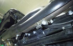 HARLEY FLTRX1920 2024