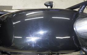 OTHER UNREGISTERED MODEL by BDS250 2013