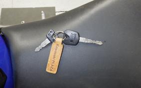 KAWASAKI NINJA 250 EX250L