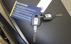 HUSQVARNA SVARTPILEN 250 2025