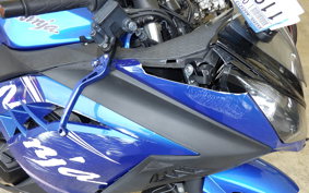 KAWASAKI NINJA 250 EX250L