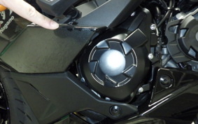 KAWASAKI NINJA 1000 SX 2024 ZXT02K