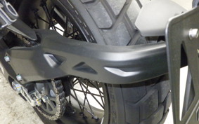 DUCATI SCRAMBLER 2024