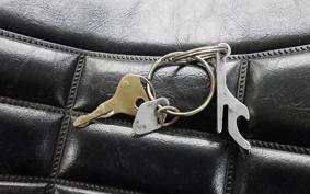 KAWASAKI Z1000 2026 KZT00A