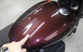 HARLEY XG750 STREET ROD 2021