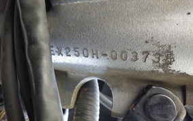 KAWASAKI ZZ-R250 EX250H