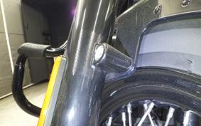 HARLEY FLSL 1750 2020