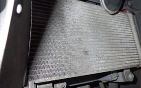 KAWASAKI NINJA 250 EX250L