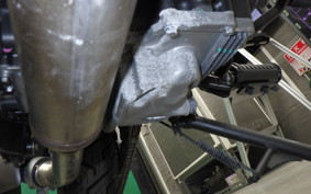 KAWASAKI ELIMINATOR400-3 2025 EL400A