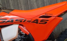 GASGAS EC 250
