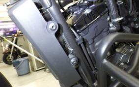 HONDA REBEL 250 S MC49