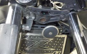 KAWASAKI Z250 2025 ER250C