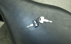 HONDA LITTLE CUB C50