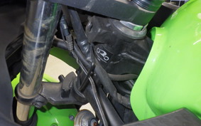 KAWASAKI NINJA 250 2022 EX250L