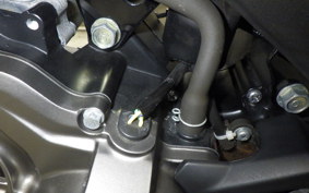 KAWASAKI Z125 PRO 2025 BR125H