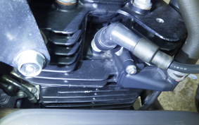 KAWASAKI KLX230 SM 2020 LX230A