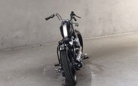 ROAD HOPPER PRO TO   TYPE 1 FH3