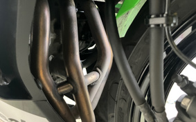 KAWASAKI NINJA ZX-4RR KRT ED 2025 ZX400P