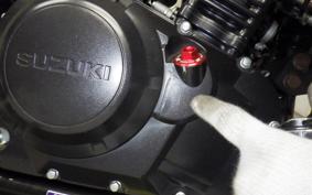 SUZUKI Vｽﾄﾛｰﾑ250