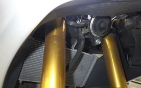 YAMAHA YZF-R25 2014 RG43J