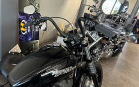 HARLEY FXBB 2020 YJJ