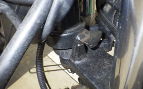 KAWASAKI 250TR 2021 BJ250F
