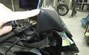 KAWASAKI NINJA ZX-6R A 2025 ZX636J