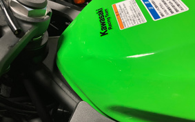 KAWASAKI NINJA ZX-25R KRT ED ZX250E