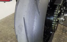 TRIUMPH SPEED TWIN 2024