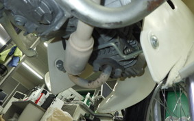 HONDA C110 SUPER CUB 2009 JA44