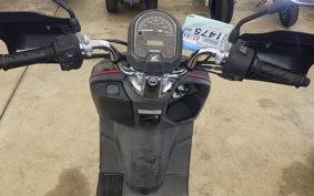 HONDA DUNK 1998 AF78