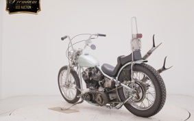 OTHER +UNREGISTERED MODEL by BDS1330 2021