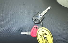 DUCATI MULTISTRADA 1000 DS 2024