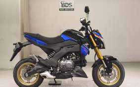 KAWASAKI Z125 PRO 2023 BR125H