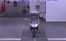 HONDA DIO CHESTER