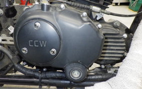 OTHER UNREGISTERED MODEL by BDS250 2007
