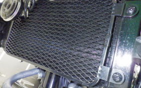 SUZUKI Vｽﾄﾛｰﾑ250A 2021