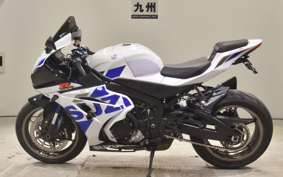 SUZUKI GSX-R1000R A 2019 DM11G