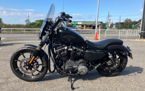 HARLEY XL883N 2016 LE2
