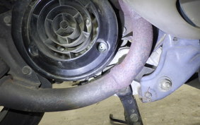 HONDA STANDUP TACT GEN 3 2025 AF51