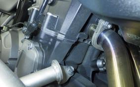 TRIUMPH TIGER 900 GT PRO 2021