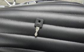 HARLEY XL883LI 2009