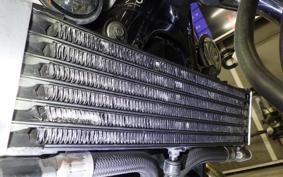 YAMAHA XJR1300 Gen.2 2011 RP17J