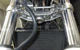 HONDA HORNET 250 MC31