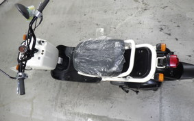 HONDA ZOOMER 2022 AF58