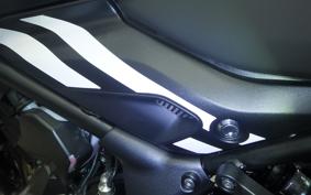 TRIUMPH TRIDENT 660 2026