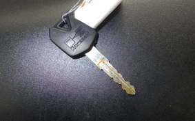 KAWASAKI NINJA 250 EX250L