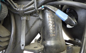 OTHER GPX LEGEND250ブライトン