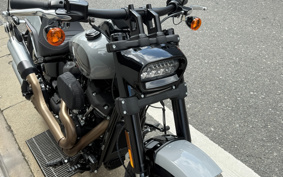 HARLEY FXFBS 2026 YLK